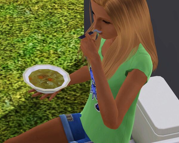 Tiedosto:Screenshot-127.jpg