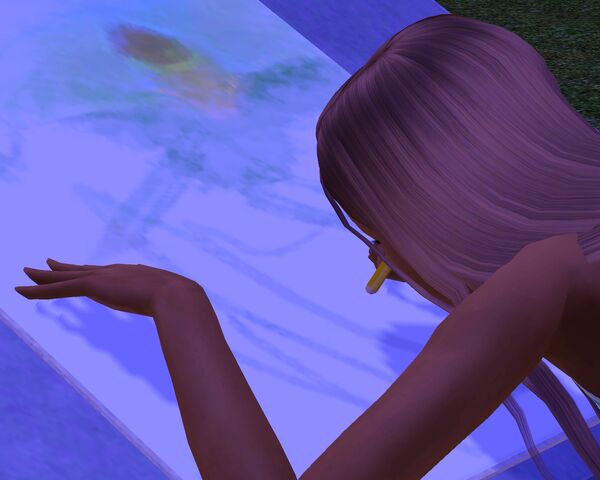 Tiedosto:Screenshot-2.jpg