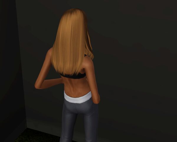 Tiedosto:Screenshot-121.jpg
