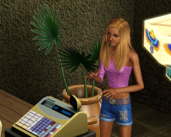 Tiedosto:Screenshot-28.jpg