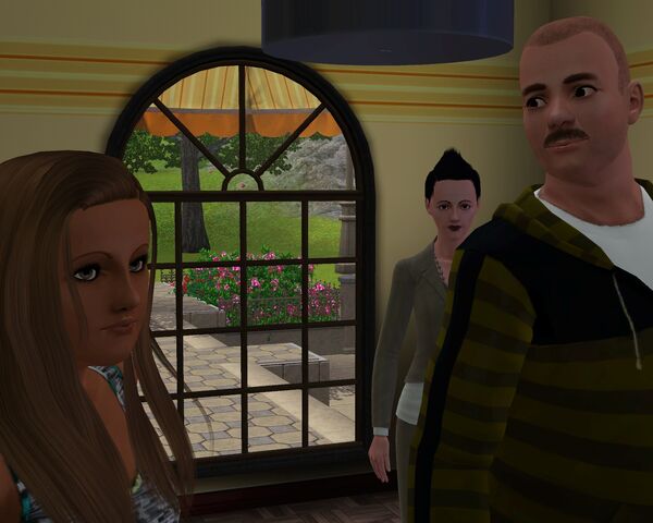 Tiedosto:Screenshot-30.jpg