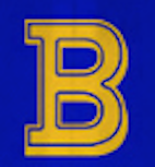 BEM