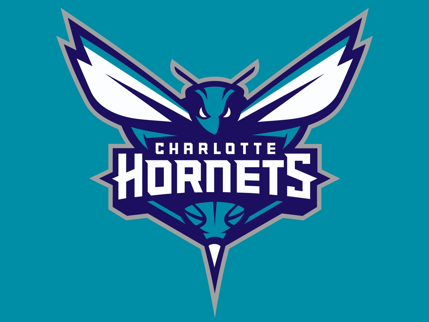 Charlotte Hornets Nail Wraps - wide 5