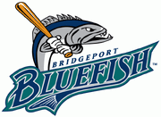 Bridgeport Bluefish