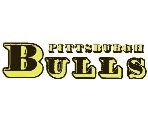Pittsburgh Bulls