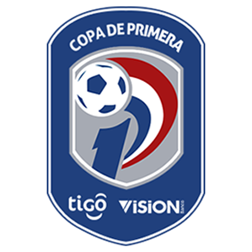 Paraguayan Primera Division Pro Sports Teams Wiki Fandom