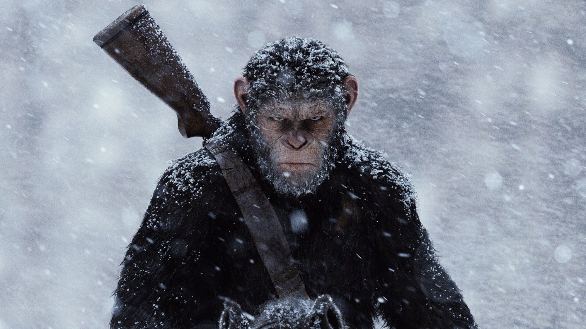 Caesar of the Apes) Protagonists Wiki FANDOM powered by Wikia
