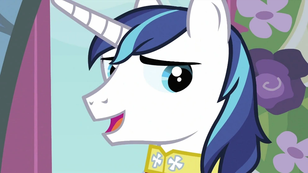 Shining Armor Protagonists Wiki FANDOM powered by Wikia
