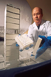 Cryonics