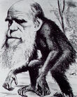 Darwin
