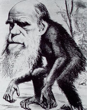 Darwin