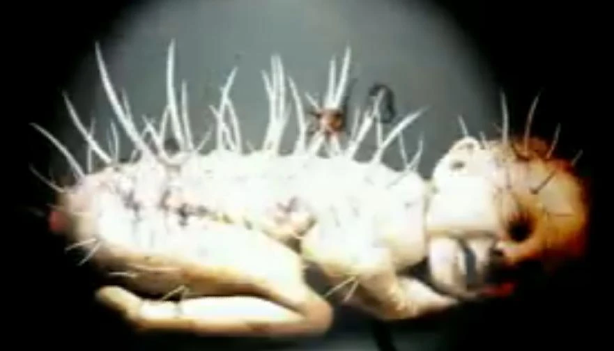 rologmisaw s blog rologmisaw s blog