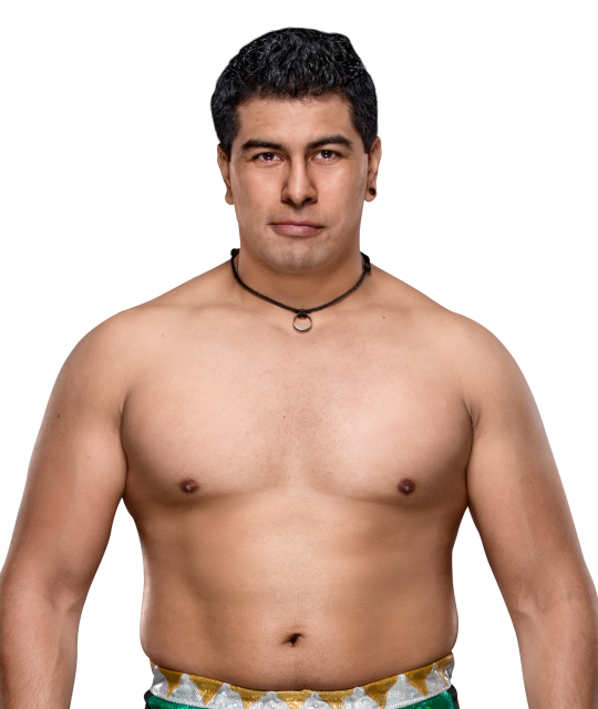 Raul Mendoza  Pro Wrestling  FANDOM powered by Wikia