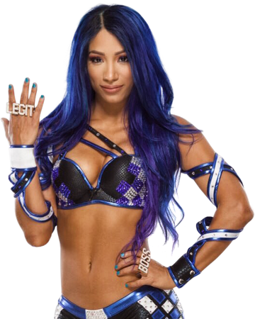 Sasha Banks Pro Wrestling Fandom