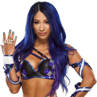 Sasha Banks Pro Wrestling Fandom