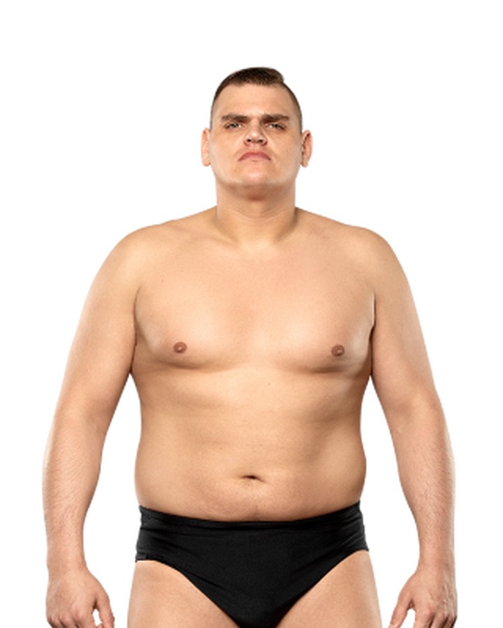 Walter Pro Wrestling Fandom