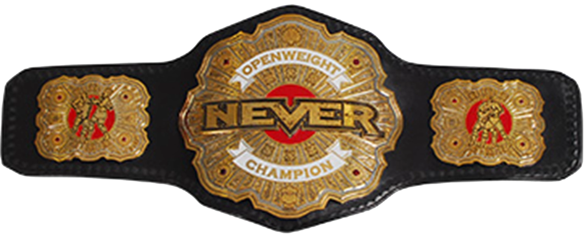 NEVER Openweight Championship Pro Wrestling FANDOM Powered By Wikia