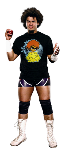 Ring Of Honor Columbus February Ring Of Honor Columbus February