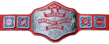 H&HW TV Title Belt