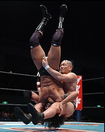 piledriver wrestling