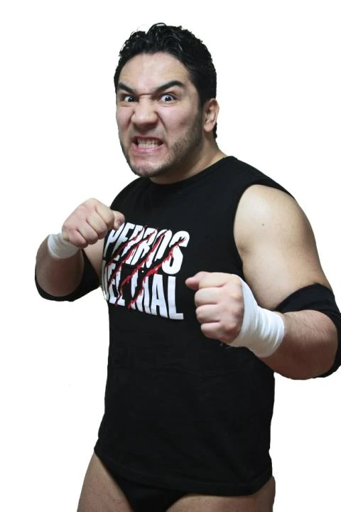 Perro Aguayo Jr Pro Wrestling FANDOM Powered By Wikia