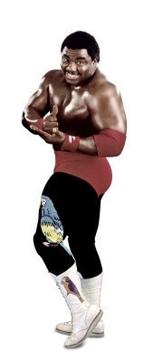 koko b ware doll