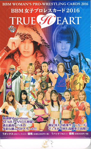 Beautiful 80 Professional Wrestling Card