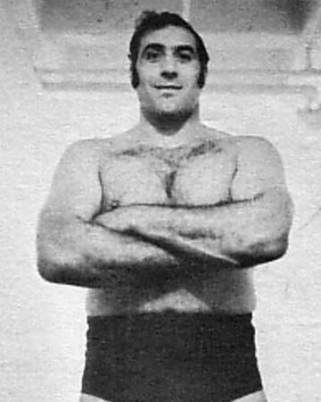 dominic denucci