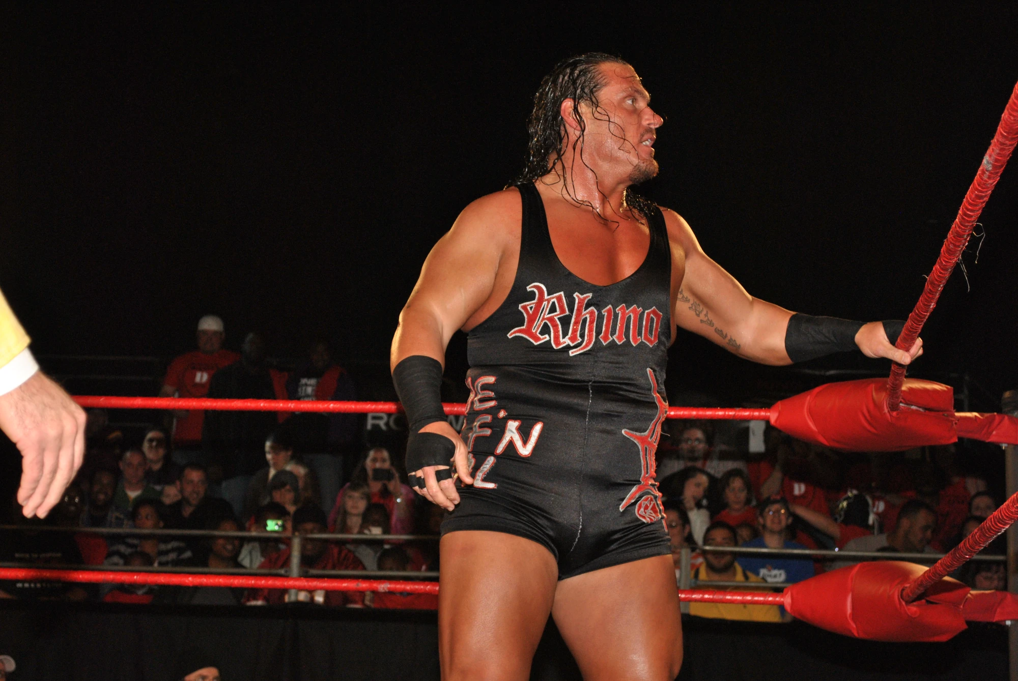 Image - Terry Gerin 12.jpg | Pro Wrestling | FANDOM powered by Wikia