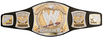 Image result for wwe championship 2011