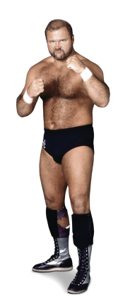 wwe arn anderson