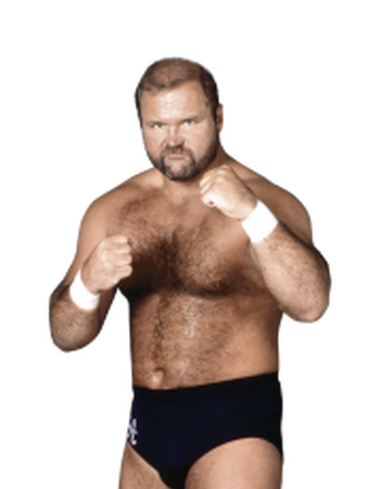 arn anderson