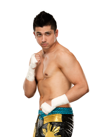 T J Perkins Pro Wrestling Fandom
