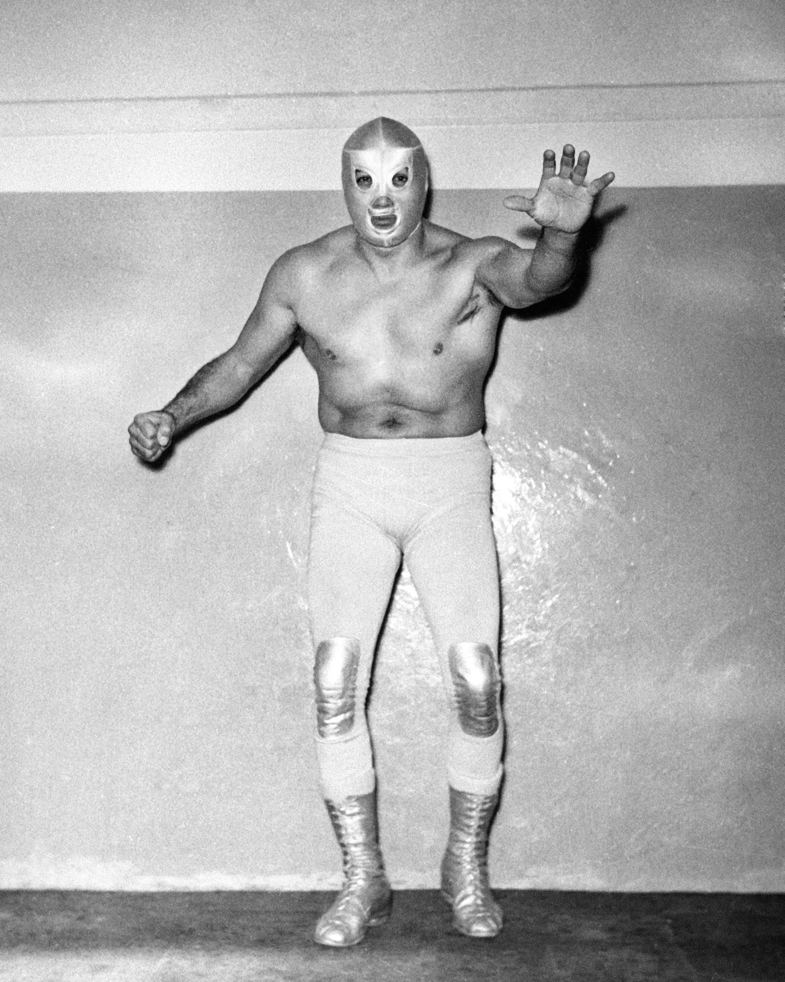 El Santo/Image gallery Pro Wrestling Fandom