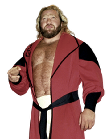 Big John Studd Pro Wrestling Fandom