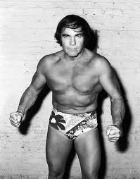 angelo poffo