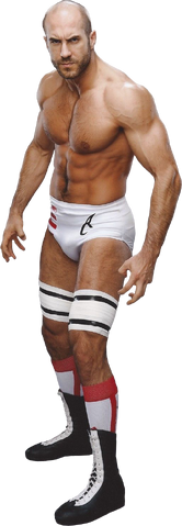 Cesaro - Wikipedia 166?cb=20140624151623