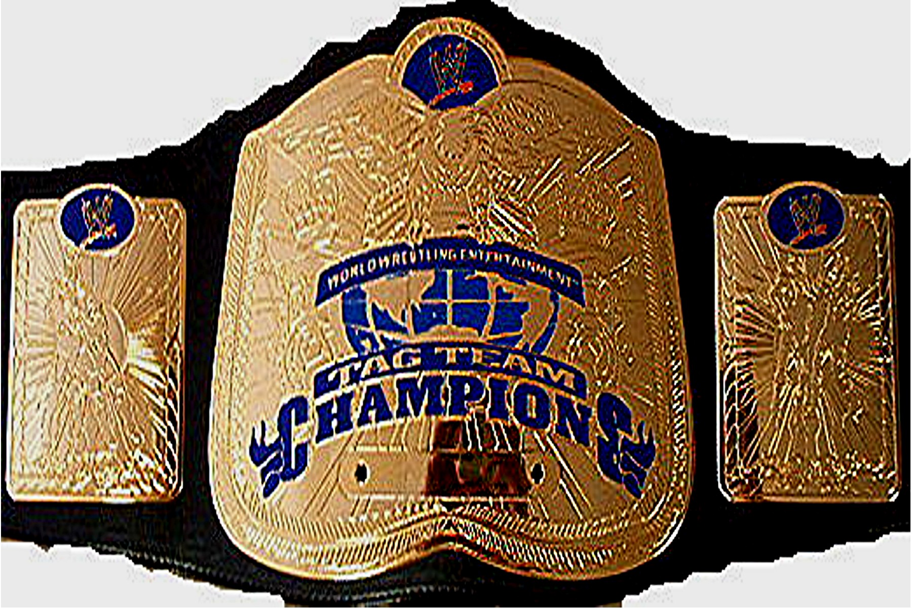 image-wwe-smackdown-tag-team-champion-jpg-pro-wrestling-fandom-powered-by-wikia