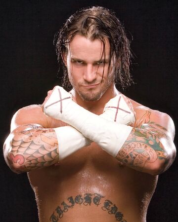 Wwe Randy Orton Old Theme Song Burn In My Light Download