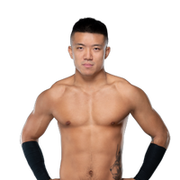 Big Boa Pro Wrestling Fandom