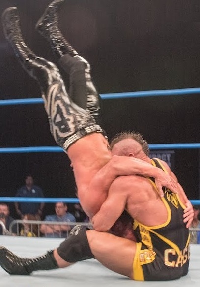 piledriver wrestling
