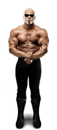 wwe scott steiner