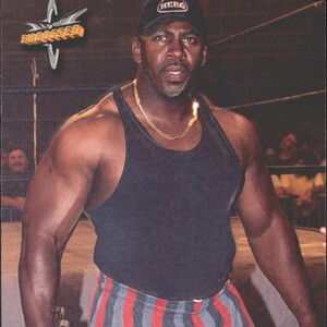 stevie ray wwe