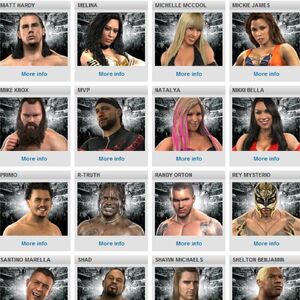 Wwe Roster 2010