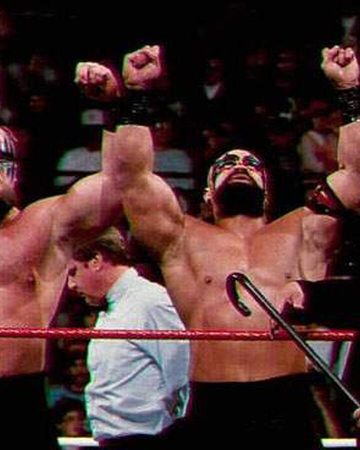 Powers Of Pain Pro Wrestling Fandom