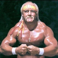 Hulk Hogan Pro Wrestling Fandom