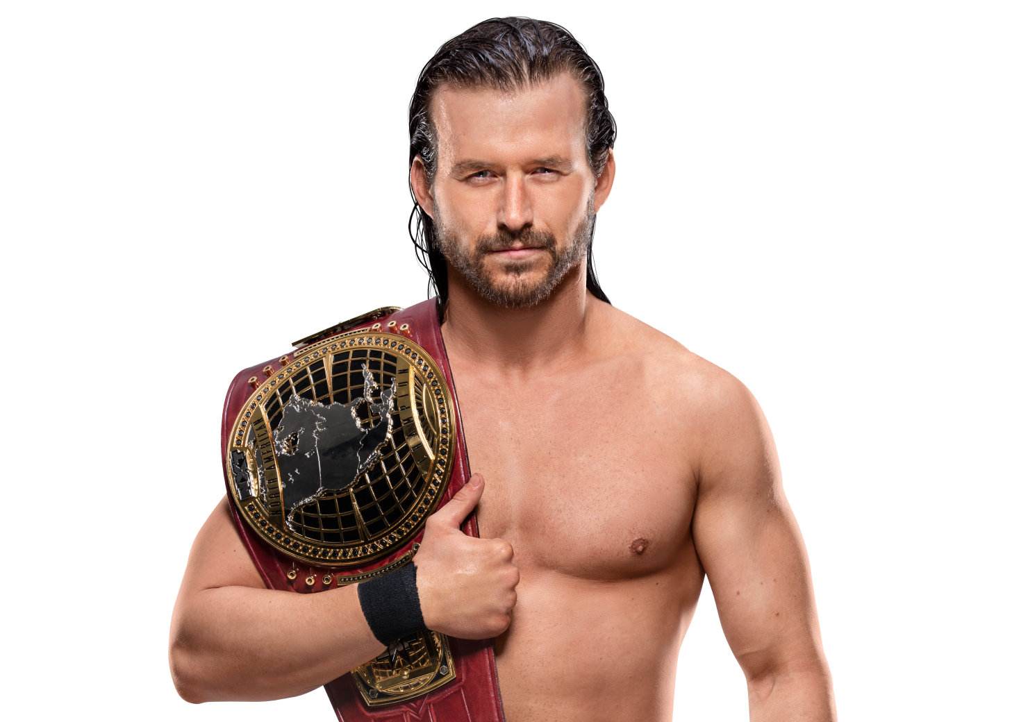 NXT North American Championship/Champion gallery Pro Wrestling