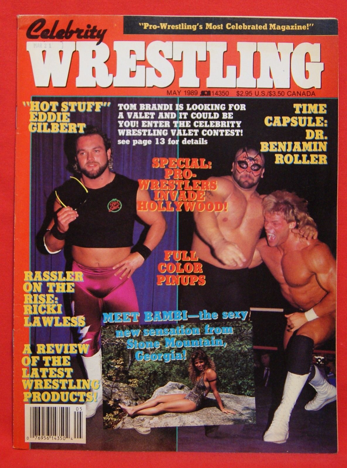 celebrity wrestling