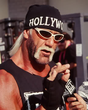 image nwo hulk hogan jpg pro wrestling fandom powered by wikia hulk hogan flower size