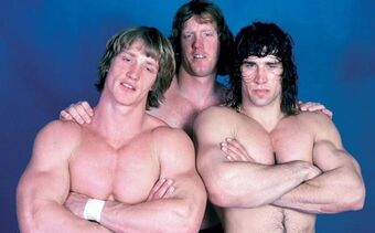 von erich family